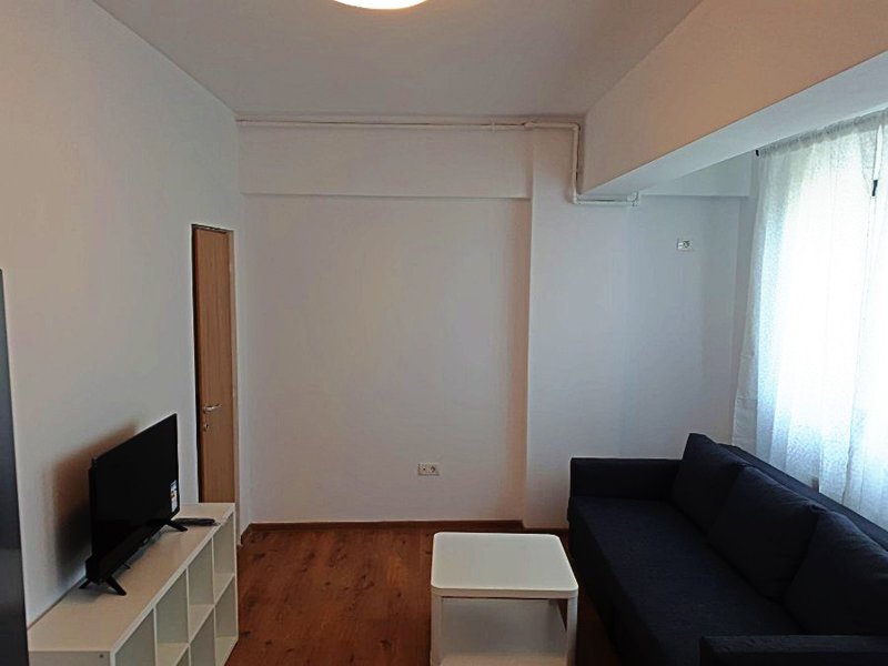 Grozavesti, Parcul Politehnicii, proprietar.