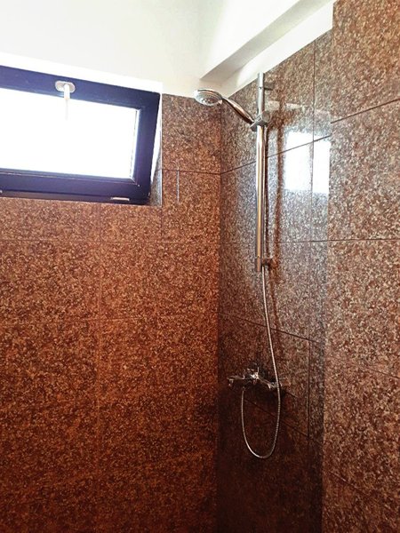 Grozavesti, Parcul Politehnicii, proprietar.